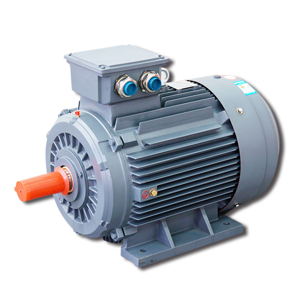 0.75~375 kw 1~500 hp energy efficient motors