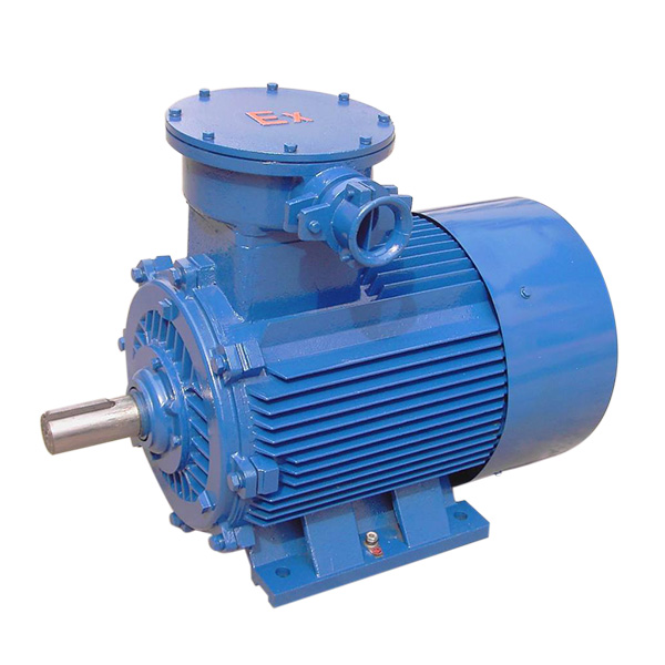 Explosion proof electric motor