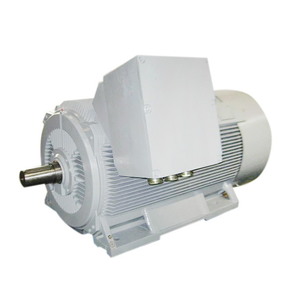 160~2000 kw 3 Phase Squirrel Cage Induction Motor
