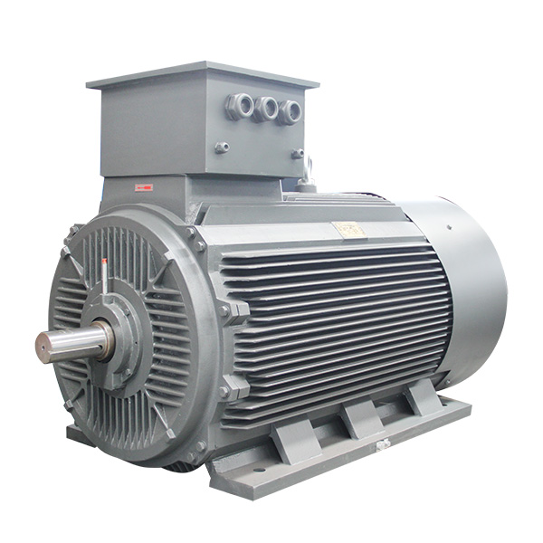 0.75kW-800kW 1HP-1000HP 3 Phase AC Induction Motor